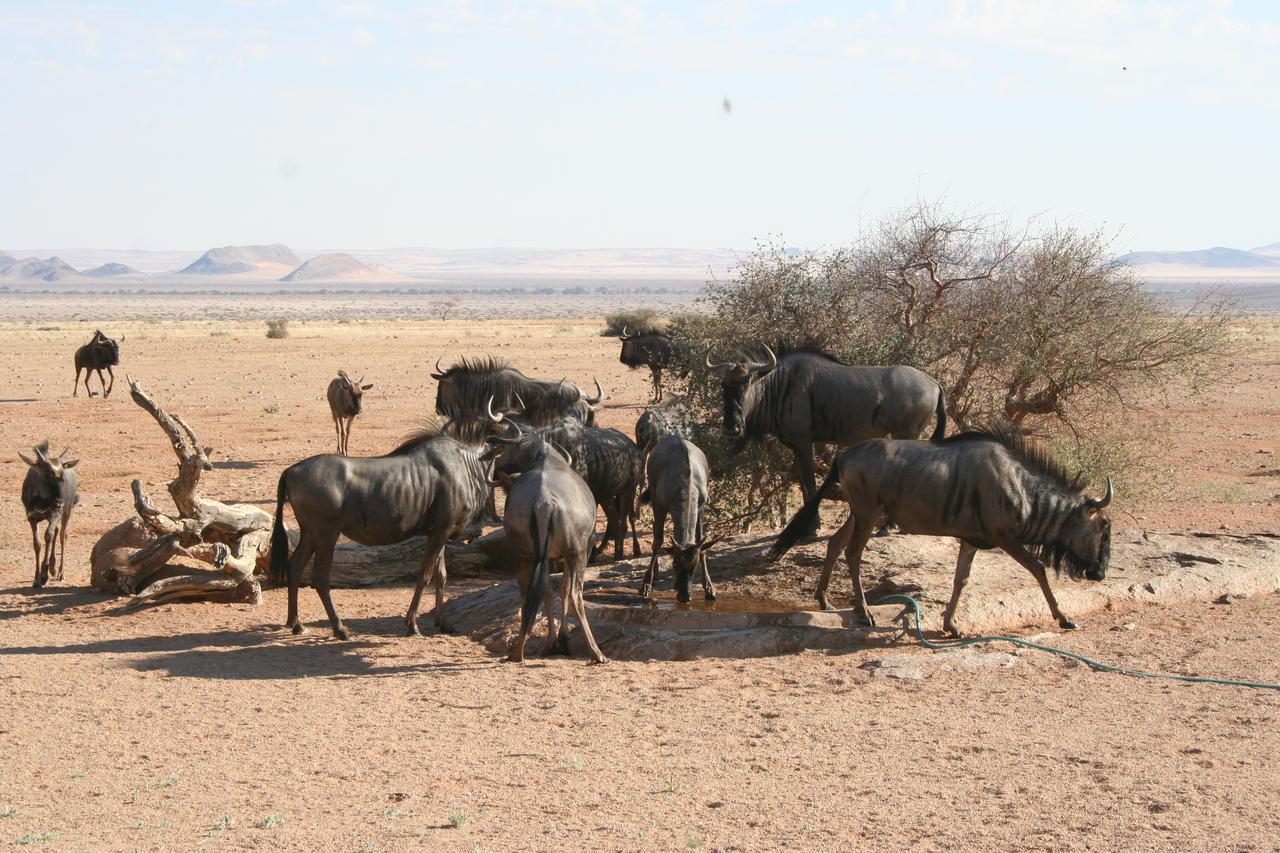 Namib Naukluft Lodge Солътер Екстериор снимка